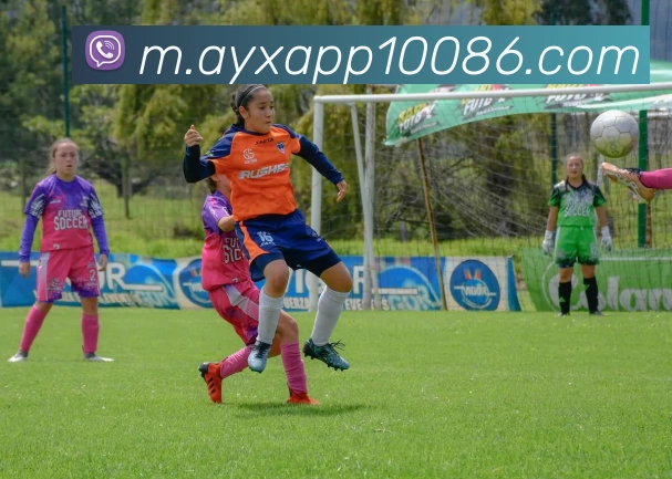 爱游戏服务体系